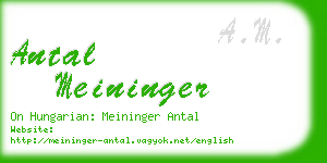 antal meininger business card